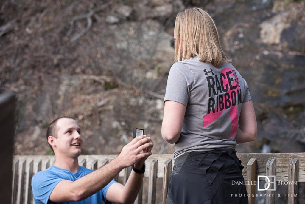 planning surprise proposal | amacalola falls, georgia