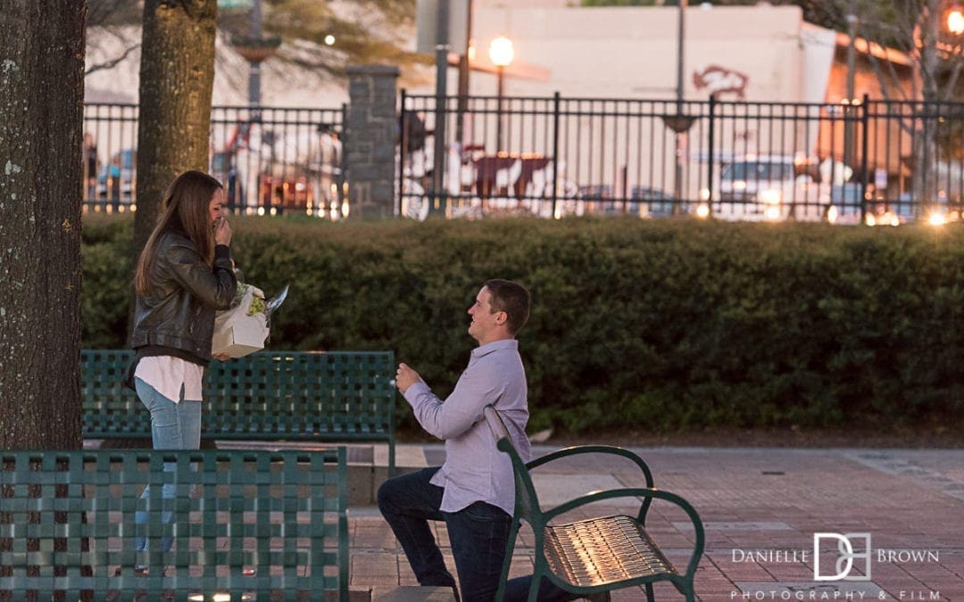 Centennial Park Surprise Proposal