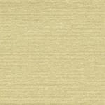 Champagne Linen Texture Album Cover