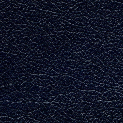 Deep Sea Genuine Leather Album Cover