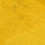 Mustard Velvet Album Cover