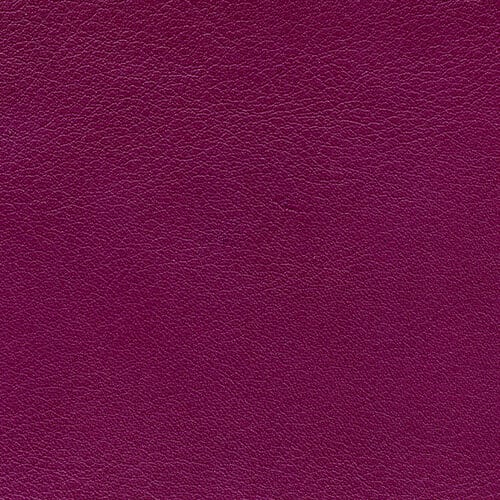 Purple Grape Genuine Leather Album Cover