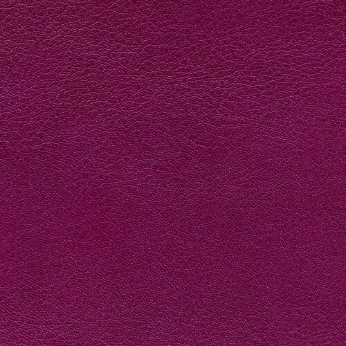 Purple Grape Genuine Leather Album Cover