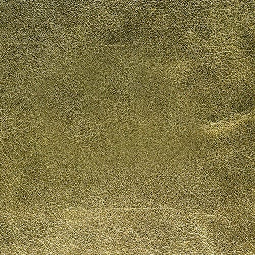 Summer Gold Genuine Leather Album Cover