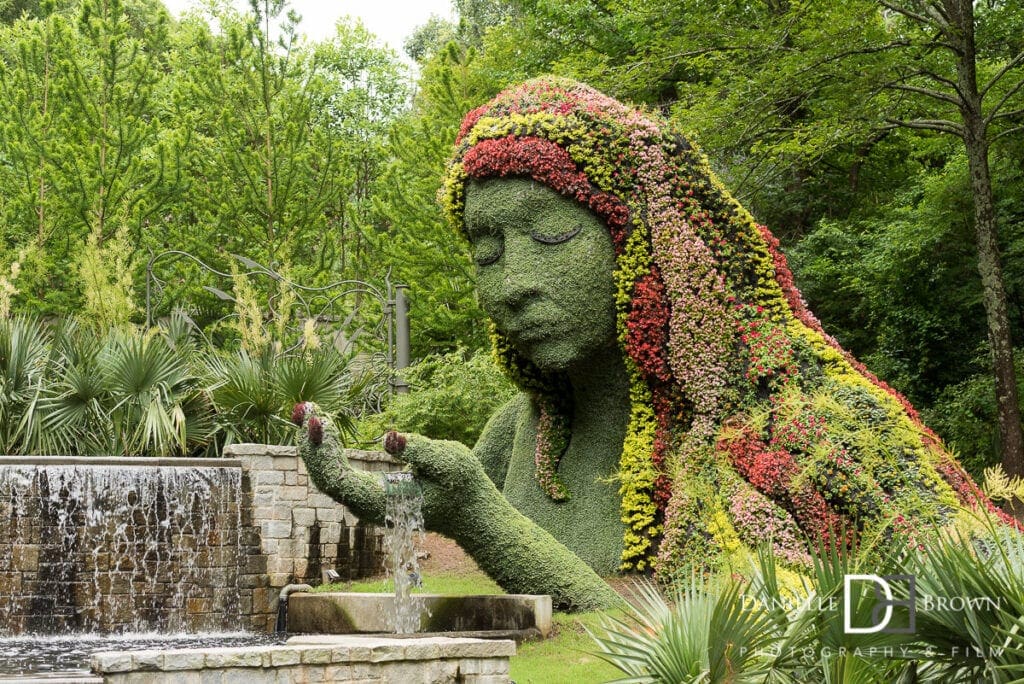 botanical garden proposal photography