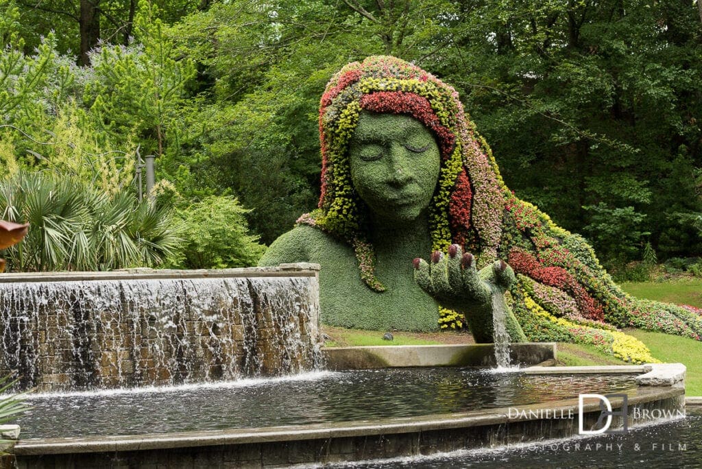 botanical garden proposal photography