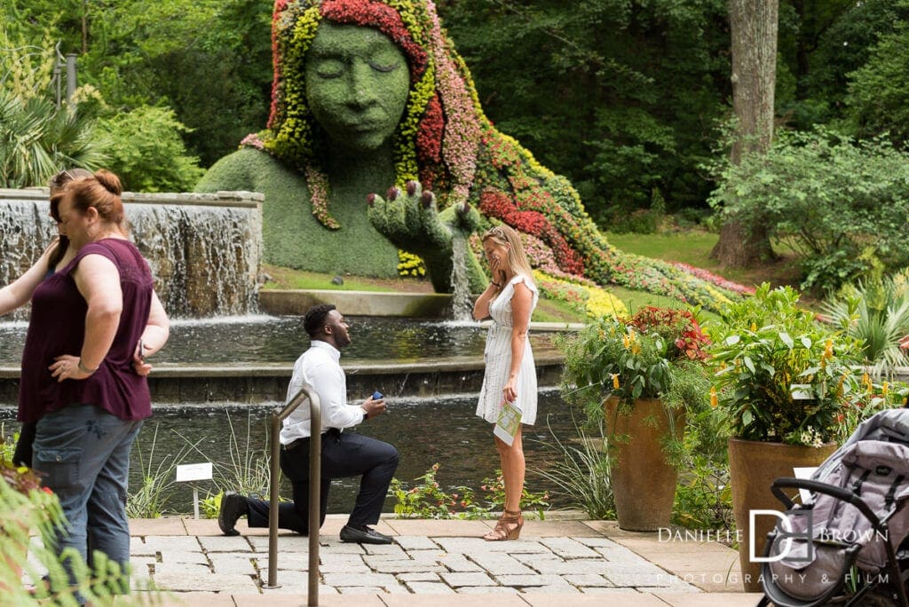 botanical garden proposal photography