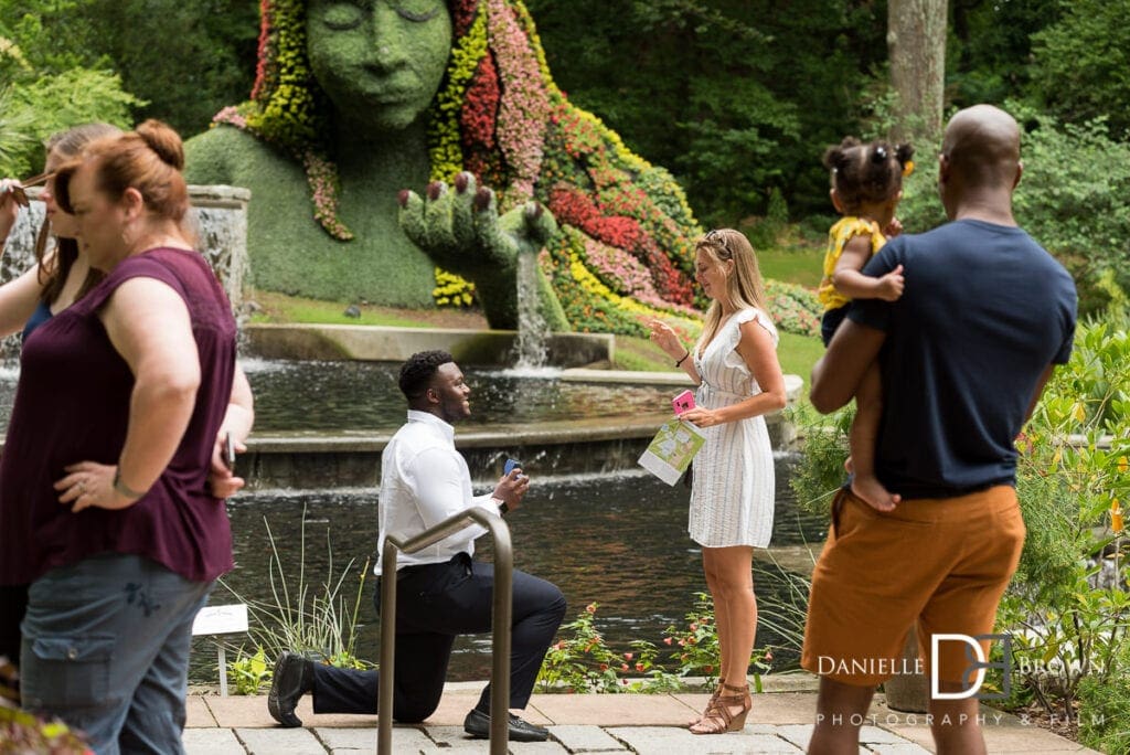 botanical garden proposal photography