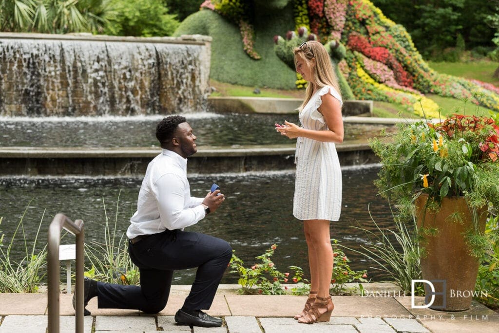 botanical garden proposal photography