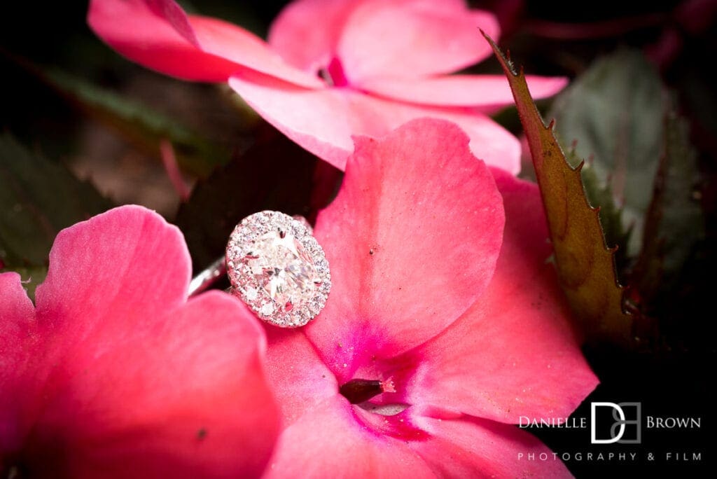 botanical garden proposal photography