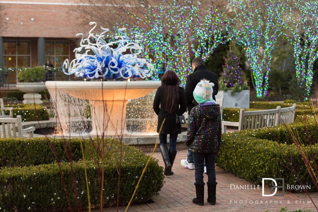 Surprise Proposal Botanical Garden