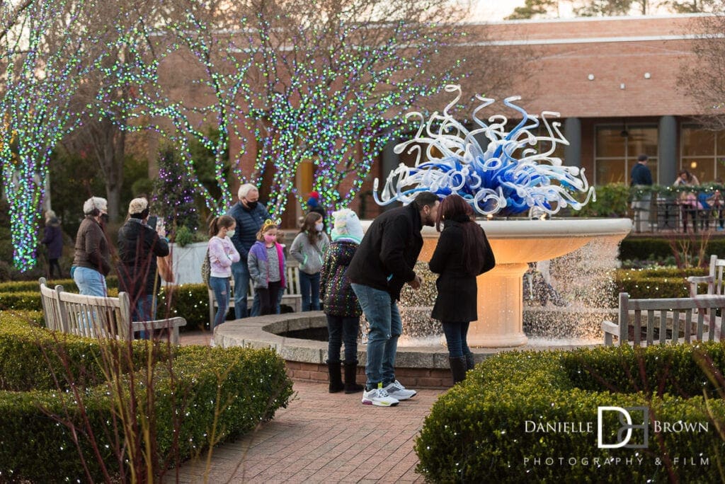 Surprise Proposal Botanical Garden