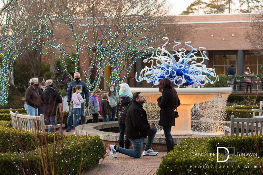 Surprise Proposal Botanical Garden