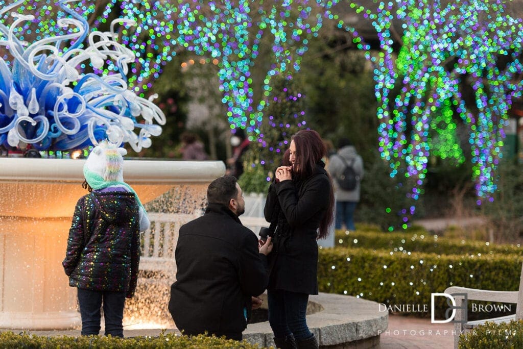 Surprise Proposal Botanical Garden