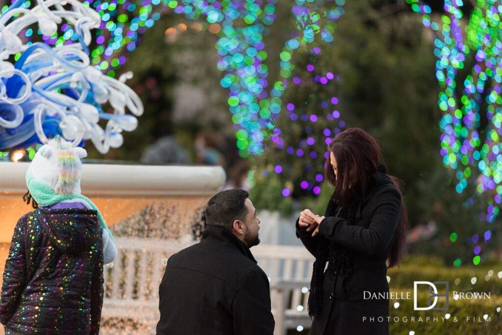 Surprise Proposal Botanical Garden