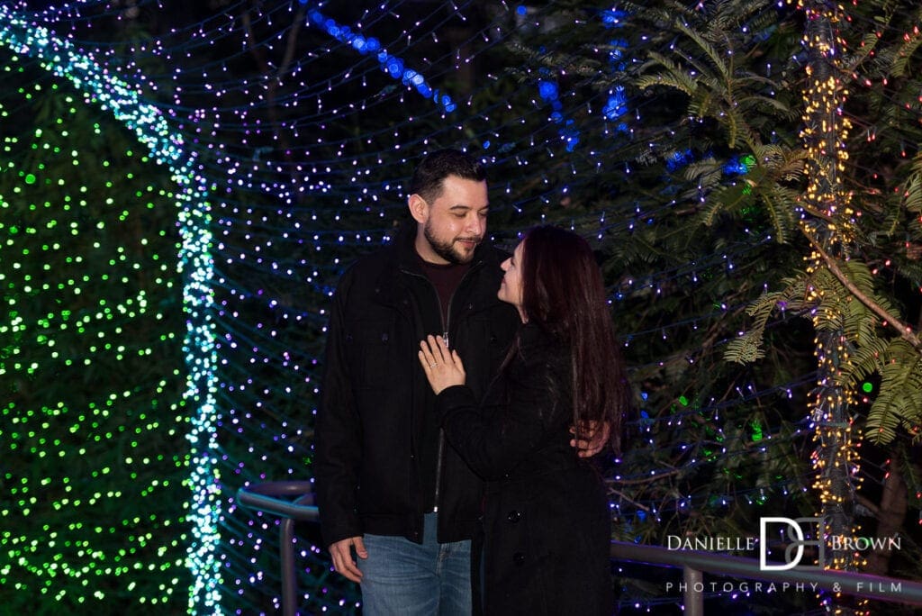 Surprise Proposal Botanical Garden