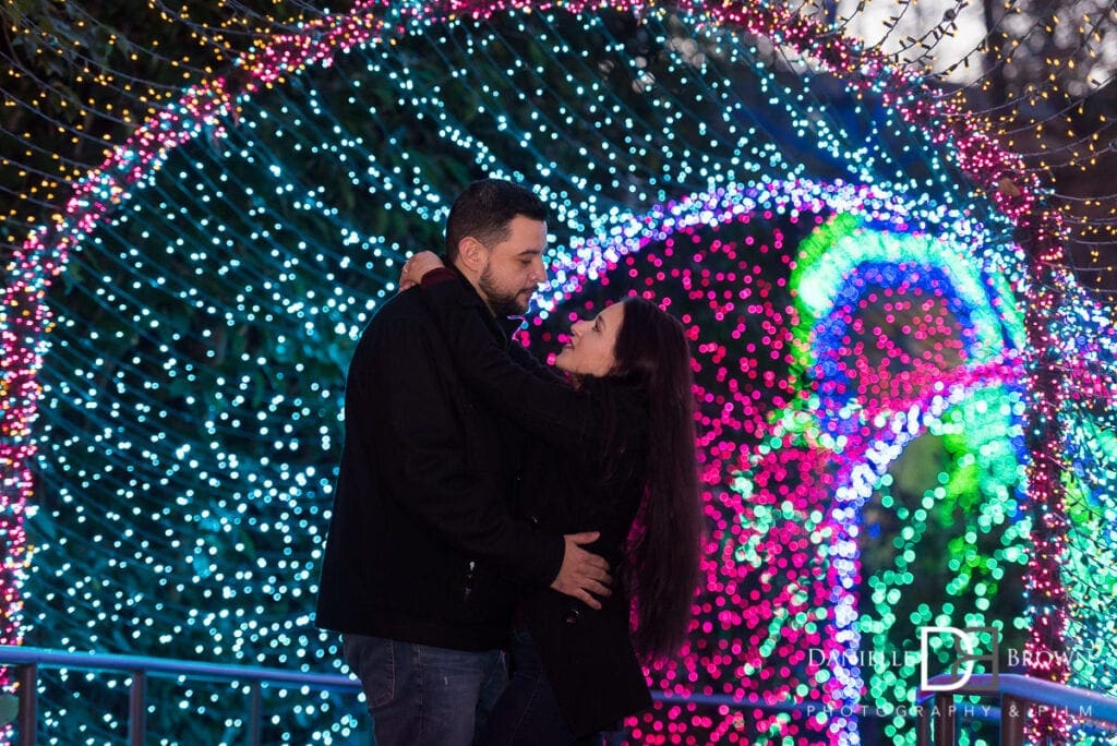 Surprise Proposal Botanical Garden