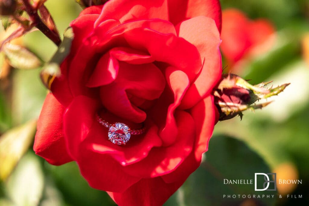 Proposal Photography Chateau Elan