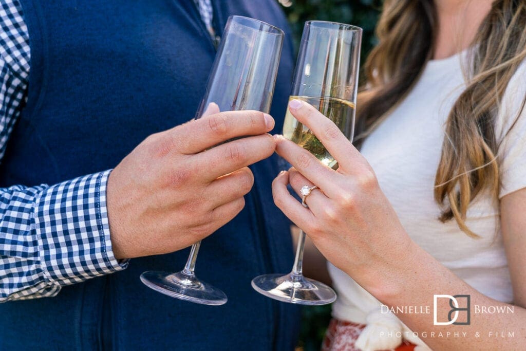 Proposal Photography Chateau Elan