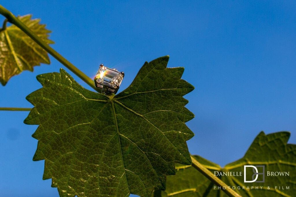 chateau elan proposal photography