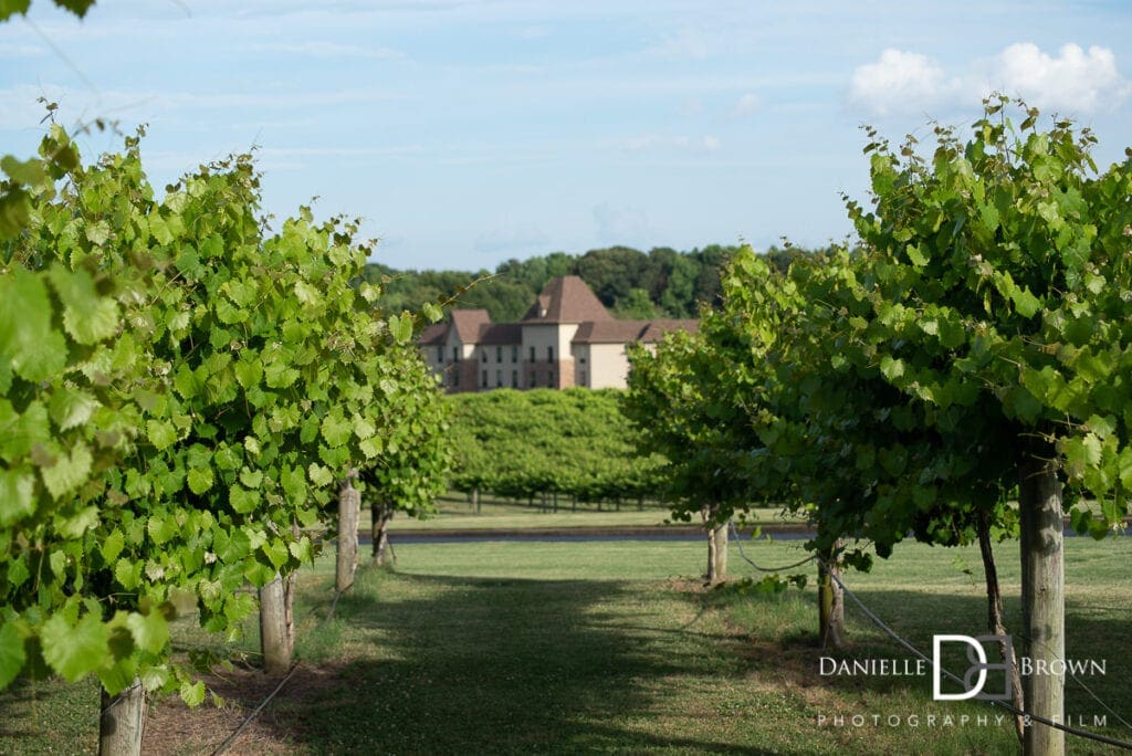 Chateau Elan Proposal Photographer