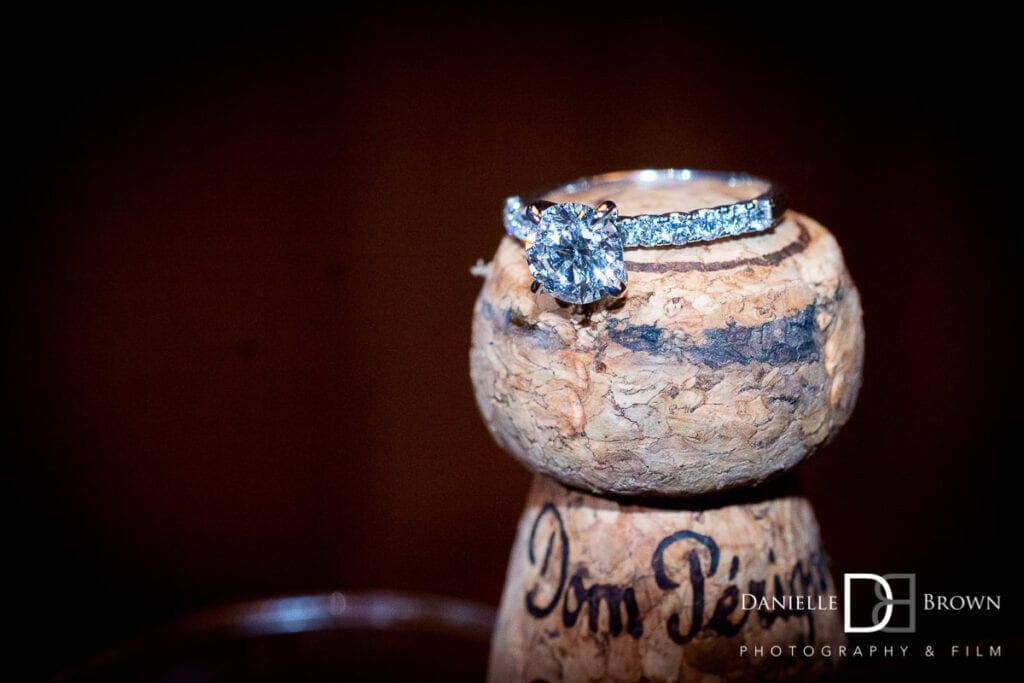 Chateau Elan Proposal Photographer