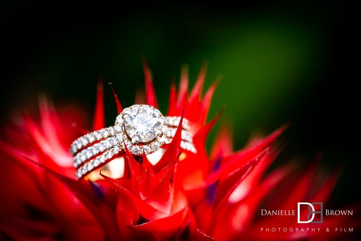 Atlanta Wedding Photographers FAQ - destination engagement session (St. Thomas USVI)